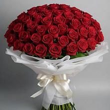 Букет 101 Красная роза Блэк Мэджик в Широковский