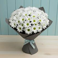 Букет цветов из:  Хризантемы #REPLACE_PRED# Широковский