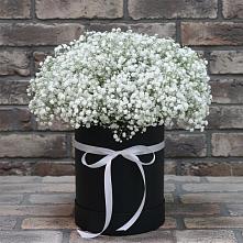 Цветочная композиция из Гипсофила в шляпной коробке в Широковский