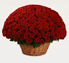 Премиум букет из: Розы в Широковский