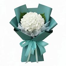 Букет цветов из:  Гортензия #REPLACE_PRED# Широковский